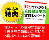 お申し込み特典「公的融資実践レポート」